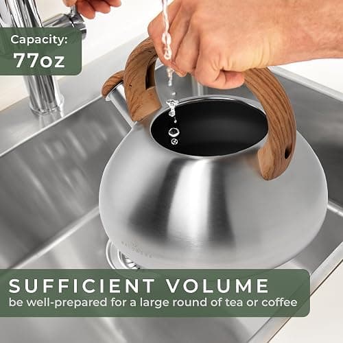 WALDWERK Tea Kettle Stovetop (2.4 Quart) - Teapot for Stovetop - also for Induction and Gas Stoves - Stainless Steel Tea Kettle - Whistling Tea Kettle for Stove Top thumbnail 4