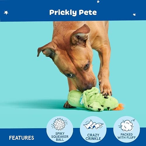 Barkbox 2 in 1 Interactive Plush Dog Toy - Rip and Reveal Toy for Dogs and Puppies - Stimulating Squeaky Pet Toys | Prickly Pete (Small) thumbnail 4