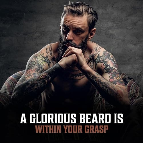 Viking Revolution Sandalwood Beard Oil for Men - Natural Mens Beard Oil with Argan Oil and Jojoba Oil - Beard Softener, Strengthens and Moisturizes - Beard Conditioner for Men (Sandalwood, 1 Pack) - Sandalwood - 1 Fl Oz (Pack of 1) thumbnail 6