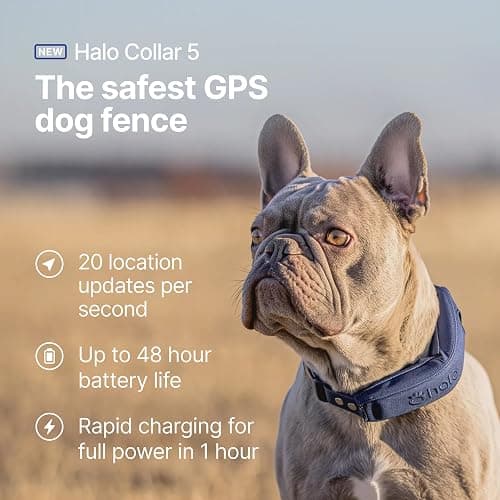 Halo Collar 5, New Wireless Dog Fence & GPS Dog Collar, Subscription Required, Waterproof, Blaze, One Size thumbnail 2