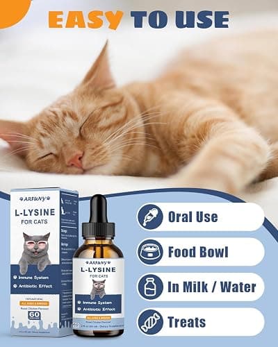 SANTKOL L-Lysine Supplement for Cats - Immune Support - 60ML Lysine for Feline Respiratory, Sneezing, Runny Nose, Eye Function - Natural Cat Antibiotic Drops - Roast Chicken Flavor thumbnail 9