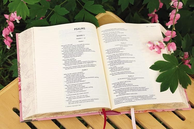 NIV, Artisan Collection Bible, Cloth over Board, Pink Floral, Designed Edges under Gilding, Red Letter, Comfort Print thumbnail 8
