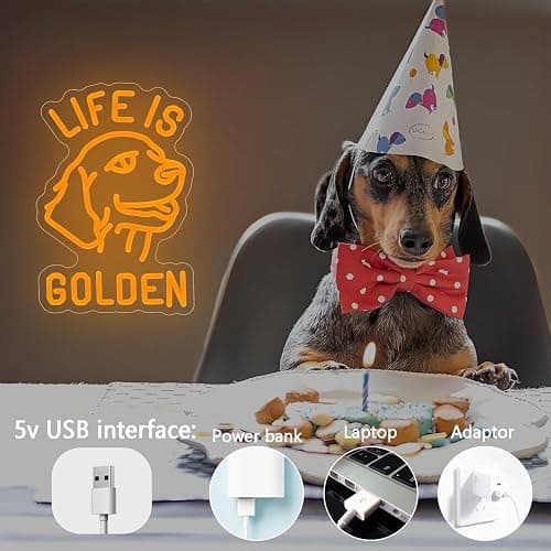 Golden Retriever Neon Sign Dimmable Dog Neon Sign for Wall Decor Golden Retriever Neon Light Up Sign for Bedroom Living Room Kids Room Christmas Christmas Gifts for Golden Retriever Lovers thumbnail 5