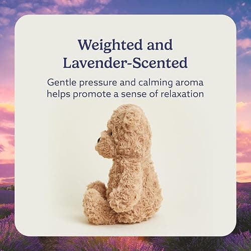 warmies Microwavable & Weighted Stuffed Animals, Brown Curly Bear - Heated Stuffed Animal Plushie for Warmth & Comfort - Cute Soft Plush Toys for Adults & Children (Boys, Girls, Babies & Toddlers) thumbnail 3