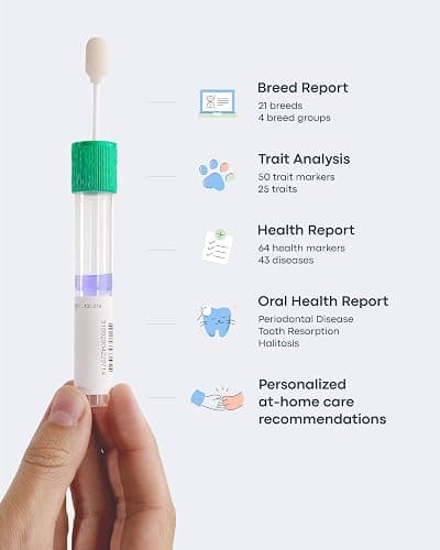 Basepaws Cat DNA Test Kit - Comprehensive Breed, Health and Dental Analysis Across 114 Traits for Accurate and Easy-to-Use Genetic Insights - Cat Breed + Health DNA Test - Basic thumbnail 8