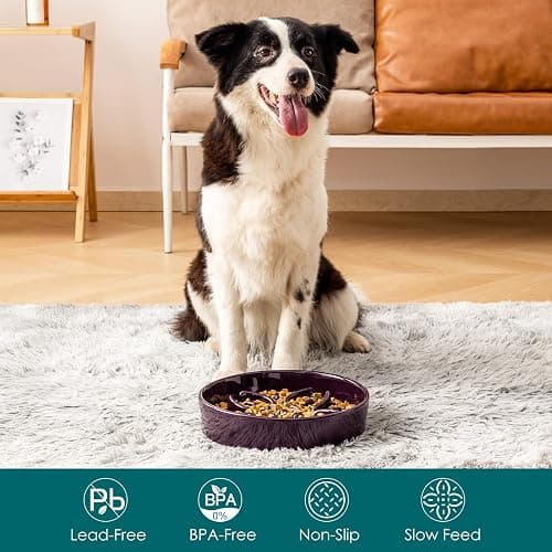 vancasso Ceramic Slow Feeder Dog Bowls, Puzzle Dog Food Bowls with Floral Maze, Anti -Slip Pet Food Dish for Large Breed, 3 Cups, Purple thumbnail 3
