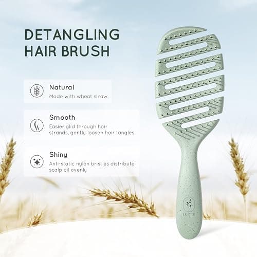 Ecoed Detangler Hairbrush, Soft Bristle Detangling Brush for Straight, Wavy, Curly and Fine Hair, Dry and Wet, Quick Smoothing for Women and Men, Eco-Friendly & Sustainable Material (Green) thumbnail 2