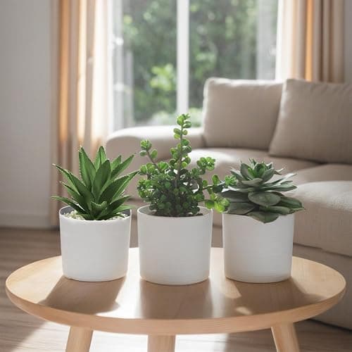 Hopewood Succulent Plants Artificial in White Pots Small Faux Potted Succulents Fake Plants in Vase Set of 3 thumbnail 4