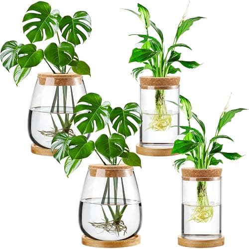 Layhit 4 Pcs Plants Propagation Stations vases Glass Planters with Wooden Lid and Bamboo Stand for Hydroponic Plants Gardening Gifts for Women Mom Home Office Tabletop Decoration(Classic Style) - Classic Style - Image 1
