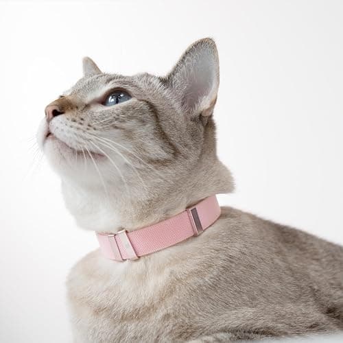 BuddyArmor Safety Cat Collar - U.S. IDA Gold Awarding Design, Stretch Elastic Quick Release, Non Breakaway - Light Weight for Kitten, Neck Fit 7.8'-15.7' for All Small Large Cat,M(Glacier Silver) thumbnail 6