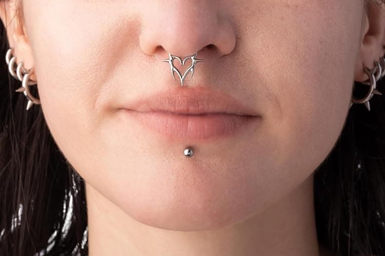 Pierced Owl 16GA ASTM F-136 Implant Grade Titanium Spiked Heart Hinged Segment Clicker Ring thumbnail 2
