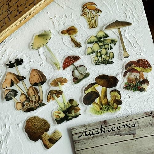 Doraking Mushroom Stickers - 100PCS Waterproof Paper Decals for Scrapbook Decoration, Sulfuric Adhesive, Irregular Shape, All in One Variety Pack thumbnail 2