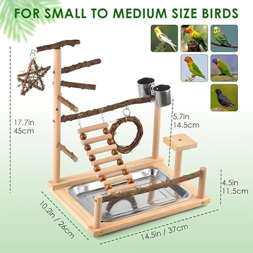 KATUMO Bird Playground - Natural Wooden Perches Parakeet Ladder Conure Swing Bird Cage Accessories with Removable Tray & 2 Stainless Steel Cups thumbnail 5