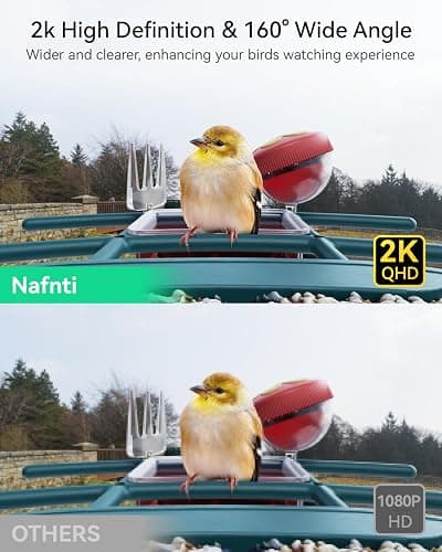 Nafnti 2K Smart Bird Feeder with Camera, Solar Powered, AI Identify 10,000+ Birds, 1.8L Capacity, IP65 Waterproof, Squirrel Proof, Live View Alerts, Various DIY Addons, Gift for Bird Watching thumbnail 3