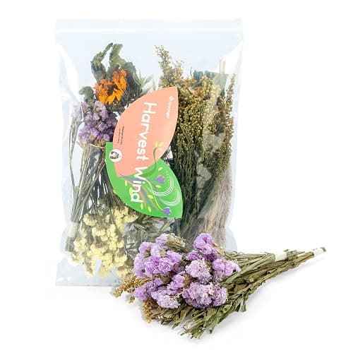 Niteangel Natural & Soft Hamster Bedding for Syrian Dwarf Hamsters Gerbils Mice Degus Bunny or Other Small-Sized Pet (Flower Version) - Image 1