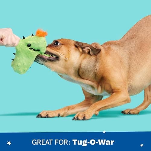 Barkbox 2 in 1 Interactive Plush Dog Toy - Rip and Reveal Toy for Dogs and Puppies - Stimulating Squeaky Pet Toys | Prickly Pete (Small) thumbnail 5