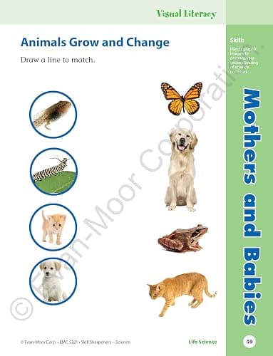 Evan-Moor Skill Sharpeners Science Workbook, Grade 1, Physical, Life, and Earth Science, Songs, Activities, Space, Animals and Eggs, Plants, Habitats, Recycling, Weather, Technology, Homeschool thumbnail 6