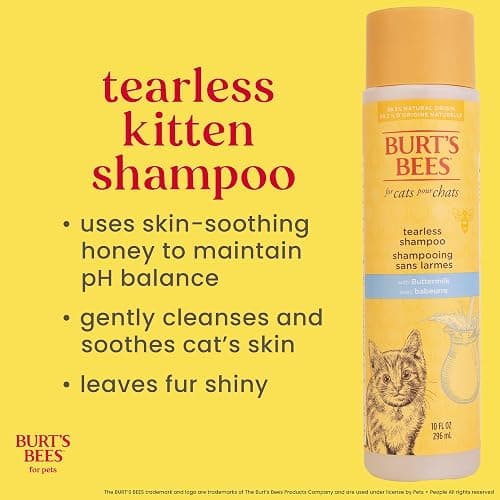Burt's Bees for Pets Tearless Kitten Shampoo with Buttermilk and Honey, 99% Natural Origin Gentle Cat Shampoo for Sensitive and Itchy Skin, pH Balanced and Fragrance-Free, 10 Fl Oz thumbnail 3