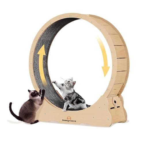 Homegroove Cat Exercise Wheel for Indoor Cats, 46" Large XL Cat Running Treadmill Wheel with Carpeted Runway for Kitty’s Longer Life, Natural Wood Color(XL) thumbnail 2