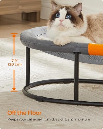 Feandrea Pet Bed, Cat Hammock, Elevated Cat Bed for Multiple Cats, with Removable Washable Mesh, for Pets up to 28 lb, Oval, Gray UPCB002G01 thumbnail 6