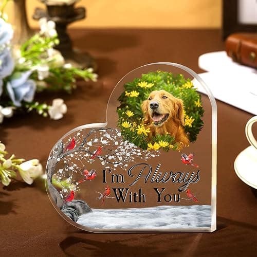 Puppy picture - Image 1