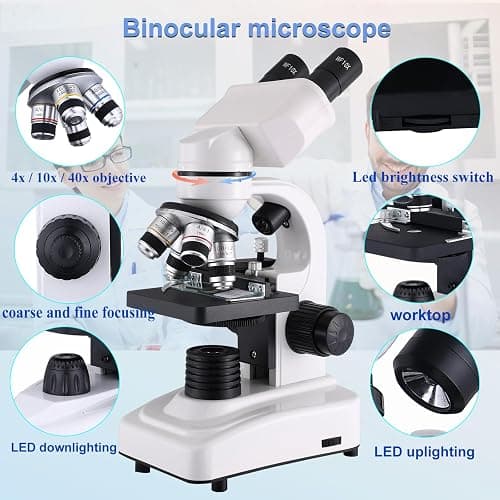 Compound Microscope，40X-2500X ，WF10x and WF25x eyepieces, Dual LED Lighting and Two-Layer Mechanical Stage，Microscope for Adults… thumbnail 5