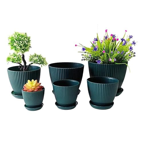Indoor Flower Pots