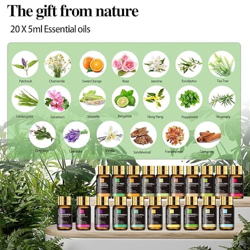MAYJAM 20 Pcs Pure Essential Oil Gift Set, Essential Oils for Diffusers for Home, Aromatherapy Oils for Diffuser, Humidifiers, Gift for Friend (5ML) thumbnail 2
