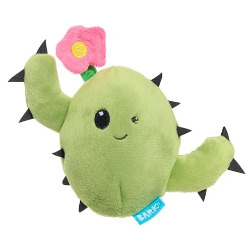 Barkbox Consuela The Cactus 2-in-1 Interactive Plush Dog Toy - Squeaky Dog Chew Toy with Crinkle Layers - for Large Dogs and Puppies - Image 1