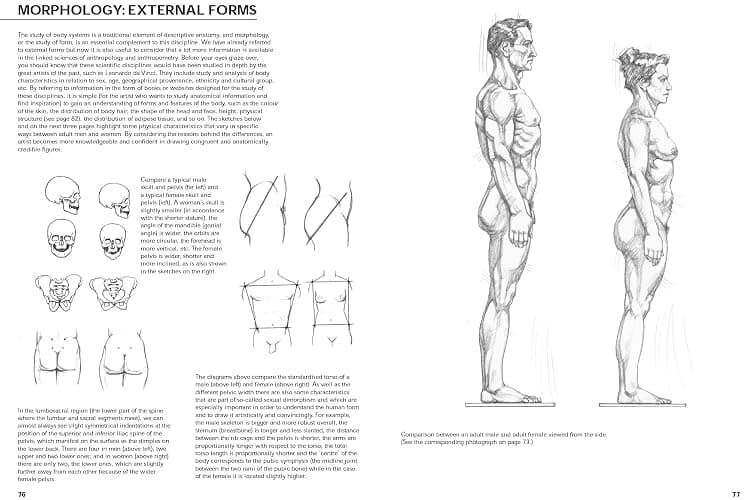 Figure Drawing: A Complete Guide (Art of Drawing) thumbnail 6