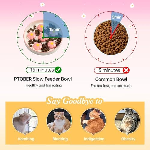Ceramic Cat Slow Feeder Bowl - 6 OZ Puzzle Food Dish for Healthy Eating - Shallow Wide Whisker Friendly - Dishwasher Safe - 6.3 x 1.2 Inch - Blush Pink Flower thumbnail 3