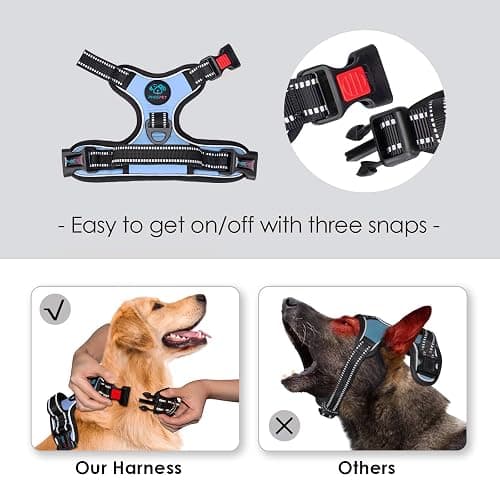 PHOEPET No Pull Dog Harness Reflective Adjustable Vest with a Training Handle, Name ID Pocket, 2 Metal Leash Hooks, 3 Snap Buckles [Easy to Put on & Take Off](S, Baby Blue) thumbnail 3
