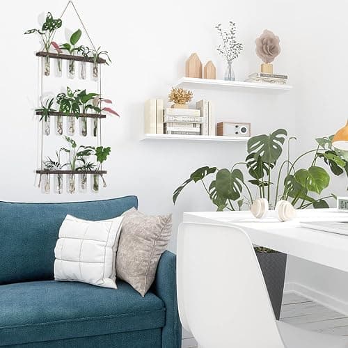 XXXFLOWER Wall Hanging Propagation Station with Wooden Stand 5 Glass Test Tubes 3 Tiered Planters Wall Terrarium for Home Office Plant Hanger Flower Vases Wall Decor Hydroponic Cuttings thumbnail 7