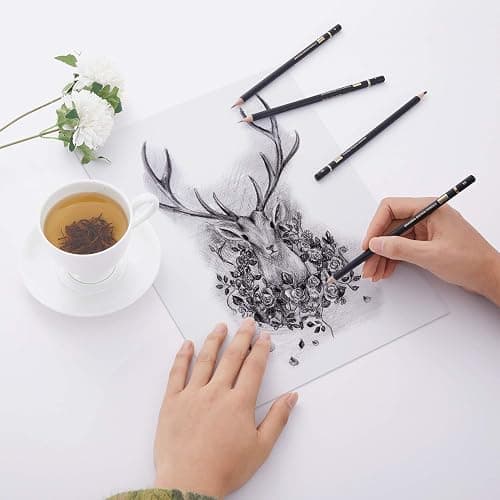 MARKART Professional Drawing Sketching Pencil Set - 14 Pieces,Graphite,(12B - 4H), Ideal for Drawing Art, Sketching, Shading, Artist Pencils for Beginners & Pro Artists thumbnail 2