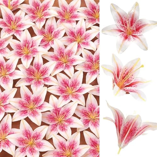 SNAIL GARDEN 24PCS 5.5" Large Fake Lilies Flower Heads with Realistic Stamens,24PCS Pink Artificial Flower Heads, Bulk Silk Flowers for Crafts, Cake Decorating, Wedding Party Wreath, Home Decor - Image 1