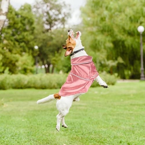 balacoo Dog Pajamas Small Cotton Sleepwear Lightweight Indoor Clothes Comfortable Costume for Daily Wear Special Occasions Photo Sessions thumbnail 8