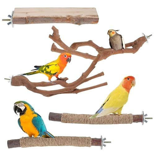 5 Pieces Wood Bird Perch, Natural Wooden Parrot Perches Stand Toys,Practical Hanging Multi-Branch Perch Platform Hammock Swing Toy,Bird Cage Accessories for Macaws Parakeets Conures Budgies Finches - Image 1