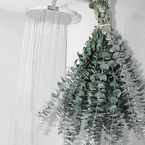 12 PCS Dried Eucalyptus Stems for Shower - 17" Preserved Eucalyptus Stems Shower Plant, Fresh Real Eucalyptus Leaves for Shower Hanging, Home Decor, Dried Flowers - Image 1