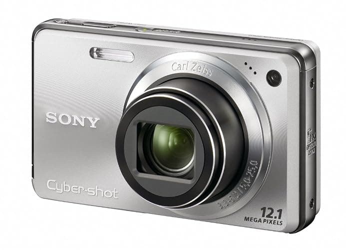 Sony Cyber-shot DSC-W290 12.1 MP Digital Camera with 5x Optical Zoom and Super Steady Shot Image Stabilization (Silver) thumbnail 5