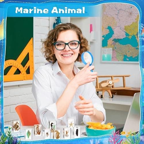 Rotatingpals 9 Pcs Marine Ocean Life Specimen Set Term Begins for Gifts Sea Animal Insect in Resin Collection Paperweights with Magnifier Animal Specimen thumbnail 6