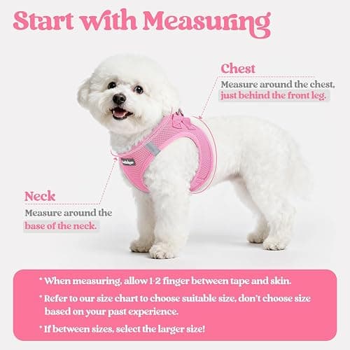 rabbitgoo Dog Harness Small Sized and Leash Set, Step-in Puppy Pet Vest | Light, Soft, Breathable Air Mesh, Easy on and Remove with Hook & Loop, Secure Reflective for Walking, Light Pink S thumbnail 2
