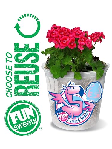 Fun Sweets Cotton Candy 4-Pack - Blue Raspberry and Cherry Swirl Flavor CottonCandy in 1.5 oz Tubs - Individual Carnival Cotton Candy Tubs thumbnail 5
