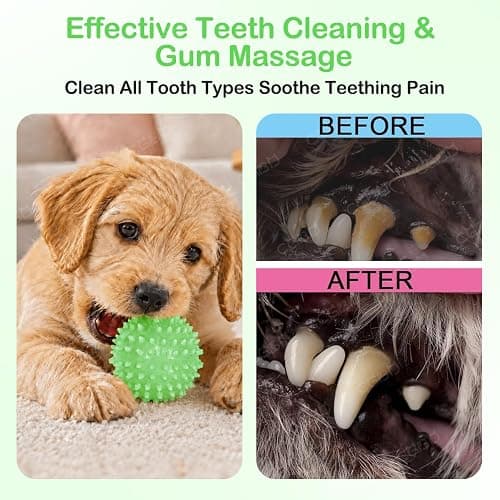 CGBD Puppy Toys, 6 Pack Dog Chew Toys for Puppy, Cute Green Small Dog Toys Teething Toys for Puppies, Soft Durable Interactive Chew Toy for Small Dogs thumbnail 5