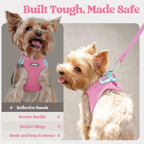 rabbitgoo Dog Harness Small Sized and Leash Set, Step-in Puppy Pet Vest | Light, Soft, Breathable Air Mesh, Easy on and Remove with Hook & Loop, Secure Reflective for Walking, Light Pink S thumbnail 7