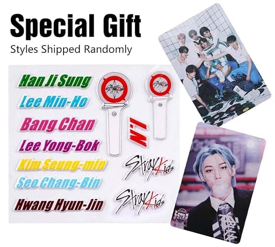 Stray Edelstahl Armband, Skzoo Tier Anhänger Armbänder, Stray Unisex Silber Bracelet mit 1 SKZ 3D Aufkleber und 2 SKZ Photocard, Kpop Fanartikel Geschenk für Stay thumbnail 7