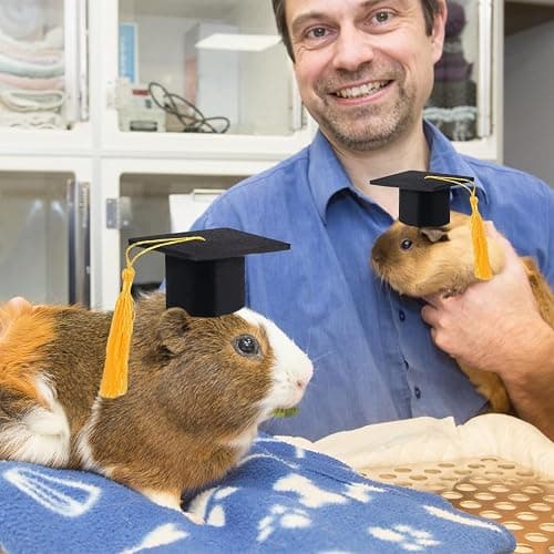 Cat Graduation Caps thumbnail 5