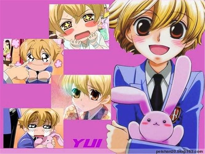 Ouran High School Host Club Pink Rabbit Plush Doll 16" Bun Rabbit of Haninoduka Mitsukuni thumbnail 5