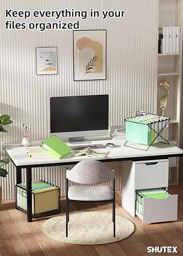 Extra Capacity Plastic Hanging File Folders,12 Pack Reinforced Hang Folder,Heavy Duty 2 Inch Expansion,Filing Cabinet Folders Letter Size for Bulk Files/Medical Charts (Morandi Colors) thumbnail 7