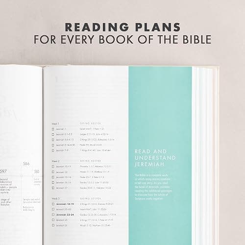 CSB She Reads Truth Bible, Hardcover, Black Letter, Full-Color Design, Wide Margins, Notetaking Space, Devotionals, Reading Plans, Two Ribbon Markers, Sewn Binding, Easy-to-Read Bible Serif Type thumbnail 15