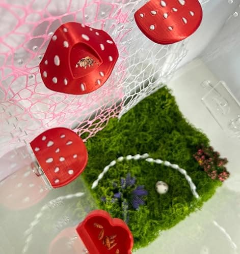 Okueejur Jumping Spider Accessories Kit – 6 Pcs Set with Mushroom Platforms, Magnetic Feeder Dish, and 2 Spider Webs (Pink & White) for Climbing, Feeding, and Decorating thumbnail 5